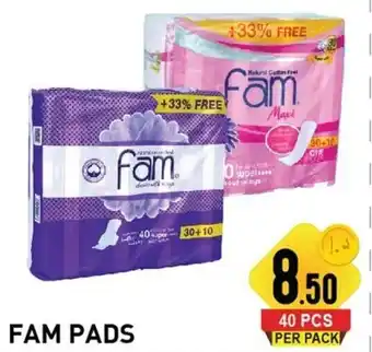 Day To Day Fam Pads offer