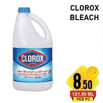 Day To Day Clorox Bleach offer
