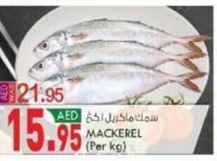 KM Trading Mackerel (per KG) offer