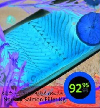 Aswaaq Norway salmon fillet kg offer