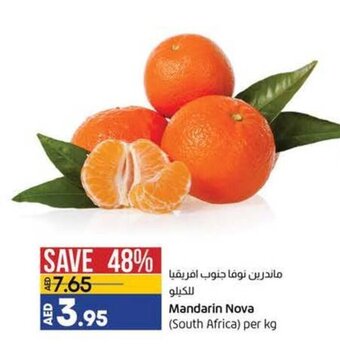 Lulu Hypermarket Mandarin nova (south africa) per kg offer