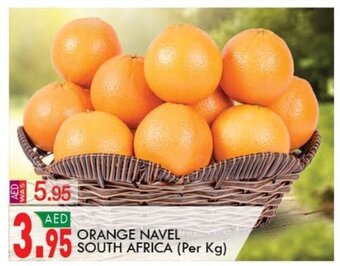 KM Trading Orange Navel South Africa Per kg offer