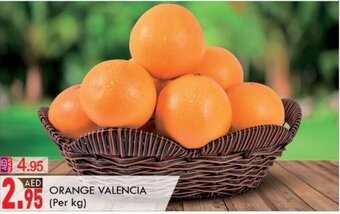 KM Trading Orange Valencia (per KG) offer