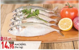 KM Trading Mackerel (per KG) offer