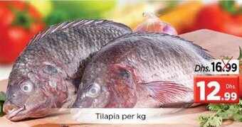 Nesto Tilapia per KG offer