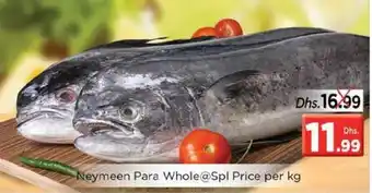 Nesto Neymeen para whole@SPL price per KG offer