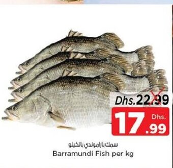 Nesto Barramundi fish per KG offer