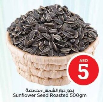 Nesto Sunflower seed roasted 500GM offer