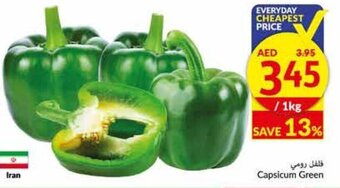 Viva Capsicum green offer