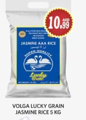 Haram Al Madeena Volga Lucky Grain Jasmine Rice 5 kg offer