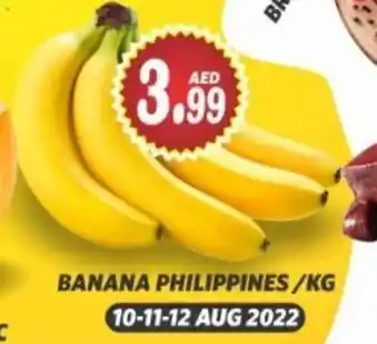 Haram Al Madeena Banana Philippines / Kg offer