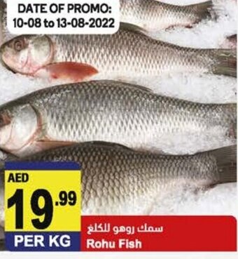 Almaya supermarket Rohu fish per KG offer