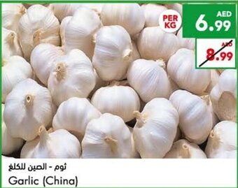 Almaya supermarket Garlic - China offer