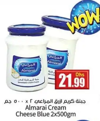 Istanbul Supermarket Almarai cream cheese blue 2x500GM offer