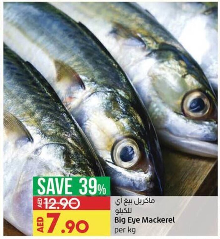 Big eye mackerel per KG offer at Lulu Hypermarket