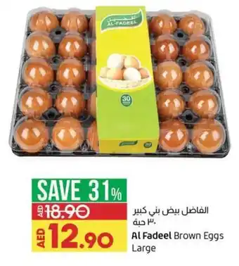 Lulu Hypermarket Al fadeel brown eggs large offer