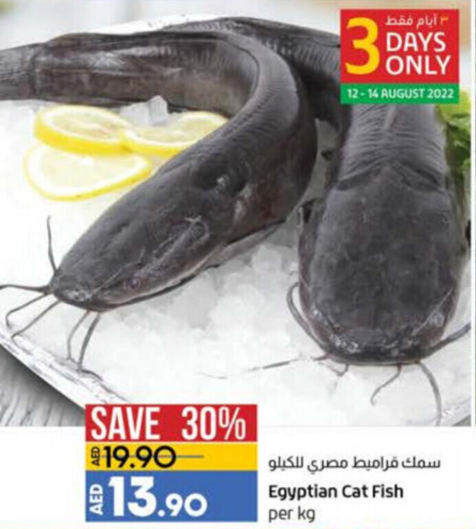 Egyptian catfish per KG offer at Lulu Hypermarket