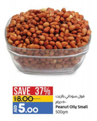 Lulu Hypermarket Peanut oily small 500GM offer