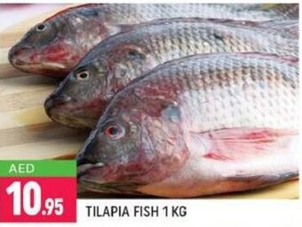 Shaklan Tilapia fish 1KG offer