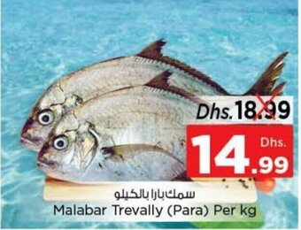 Nesto Malabar trevally (para) per KG offer