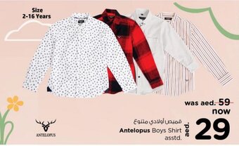 Nesto Antelopus boys shirt asstd. offer