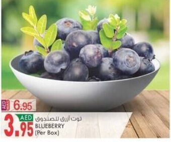 KM Trading Blueberry (per box) offer