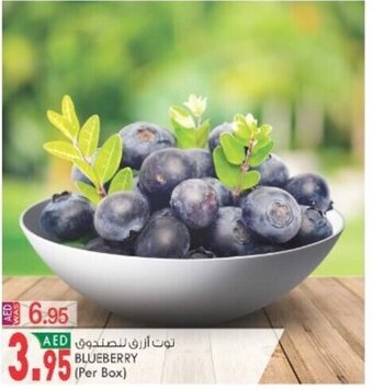 KM Trading Blueberry (per box) offer