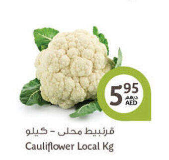 Aswaaq Cauliflower local KG offer
