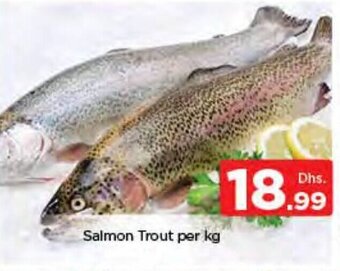 Nesto Salmon trout per KG offer
