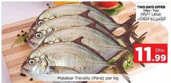 Nesto Malabar trevally (para) per KG offer