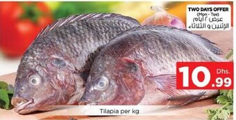 Nesto Tilapia per KG offer