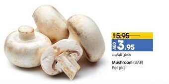 Lulu Hypermarket Mushroom (UAE) per pkt offer