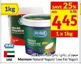 Viva Marmum Natural Yogurt / Low Fat Yogurt 1 x 1kg offer