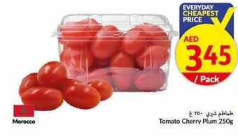 Viva Tomato Cherry Plum 250g offer