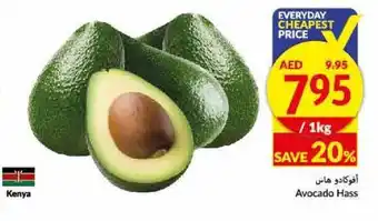 Viva Avocado Hass 1kg offer