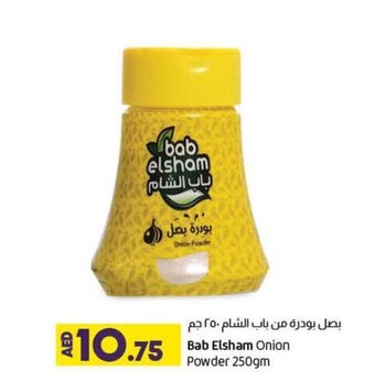 Lulu Hypermarket Bab Elsham Onion Powder 250gm offer