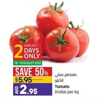 Lulu Hypermarket Tomato India per kg offer