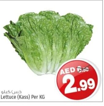 Kenz Hypermarket Lettuce (Kass) per KG offer