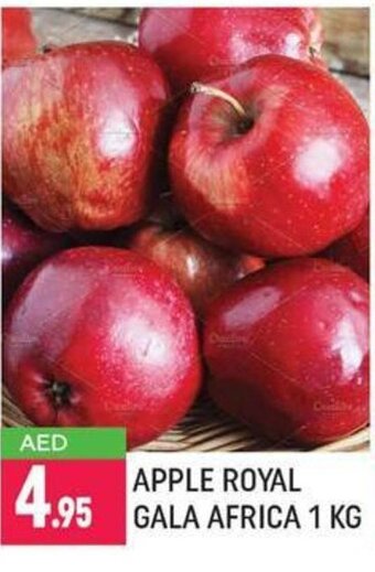Shaklan Apple royal gala Africa 1KG offer