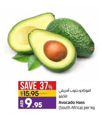 Lulu Hypermarket Avocado hass (south africa) per kg offer