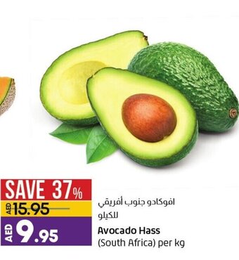 Lulu Hypermarket Avocado hass (South Africa) per KG offer