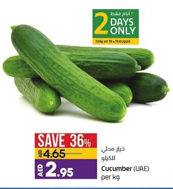 Lulu Hypermarket Cucumber (UAE) per KG offer