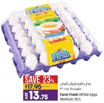 Lulu Hypermarket Farm fresh white eggs medium 30's offer