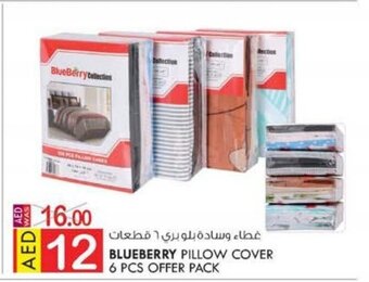 KM Trading Blueberry pillow cover 6 PCS offer pack offer