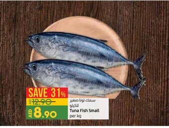 Tuna fish small per kg