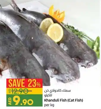 Lulu Hypermarket Khanduli fish (cat fish) per kg offer