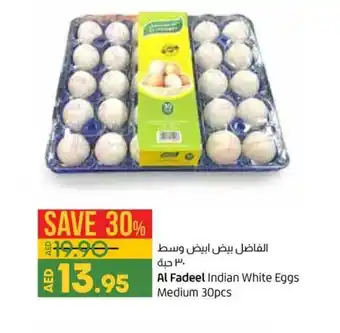 Lulu Hypermarket Al fadeel indian white eggs medium 30pcs offer