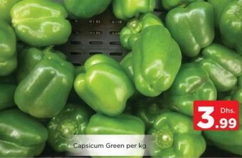 Nesto Capsicum Green per kg offer