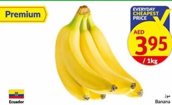 Viva Banana 1KG offer