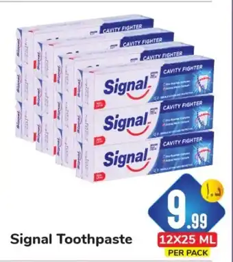 Day To Day Signal Toothpaste 12x25 ml Per Pack offer